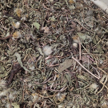 手捡野生中期蒲公英干货自然晾晒欢迎联系