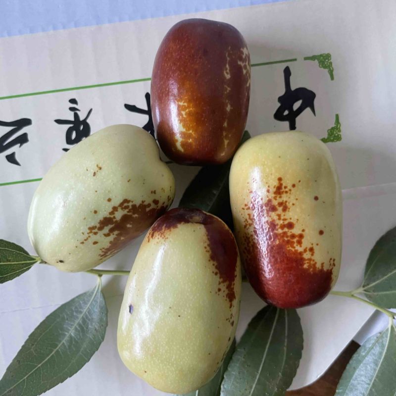 贵妃枣大量上市啦，口感纯甜，水分足，大量供货。🤝
