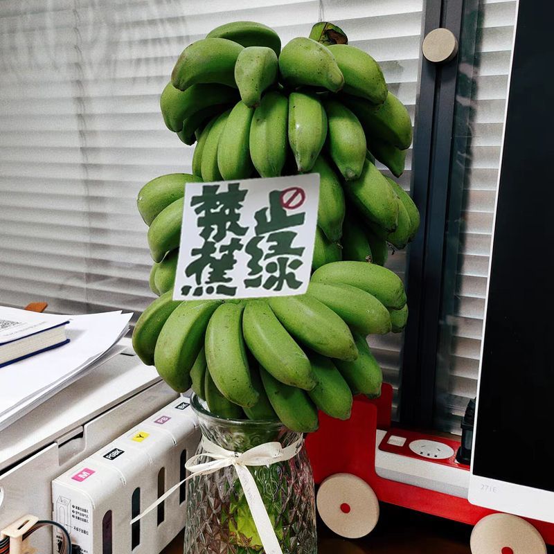 【禁止蕉绿】广西小米蕉整串8斤办公室水培新鲜绿植