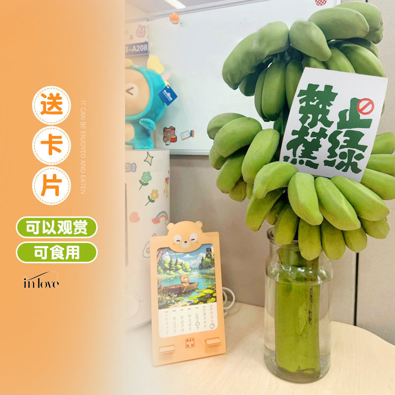 【禁止蕉绿】广西小米蕉整串8斤办公室水培新鲜绿植
