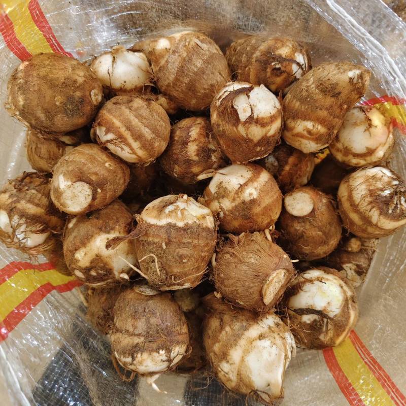 山东沂蒙山牛奶芋头大量上市，规格齐全，欢迎订购通货1.
