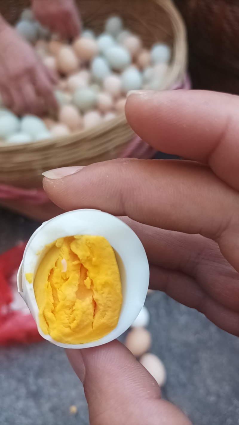 双色粉双色绿壳土鸡蛋
