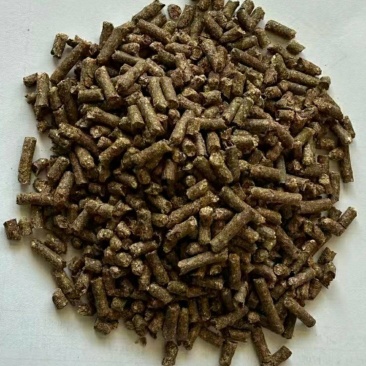 厂家直颗粒棉籽饼，使用施肥方便省时