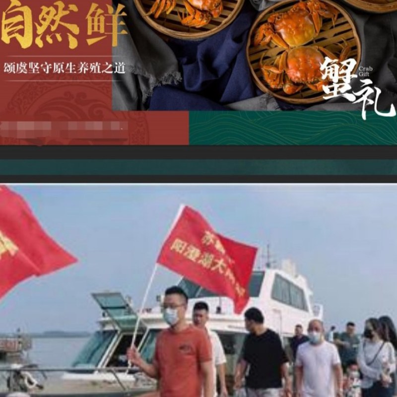 颂虞阳澄湖大闸蟹高端品牌型号采青