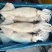单冻鱿鱼冷冻海产品、、、、、