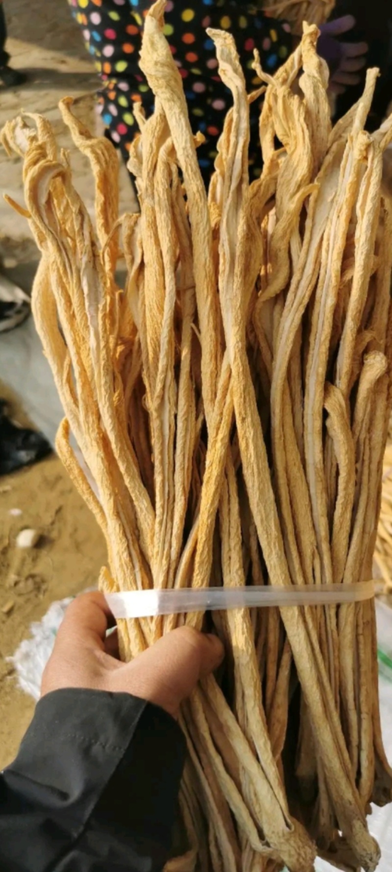 萝卜条！辽宁绥中脆甜大根萝卜条，袋装白条！嘎嘎好！