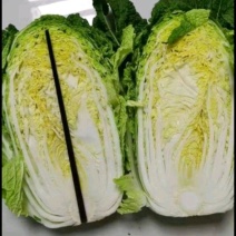 黄心白菜