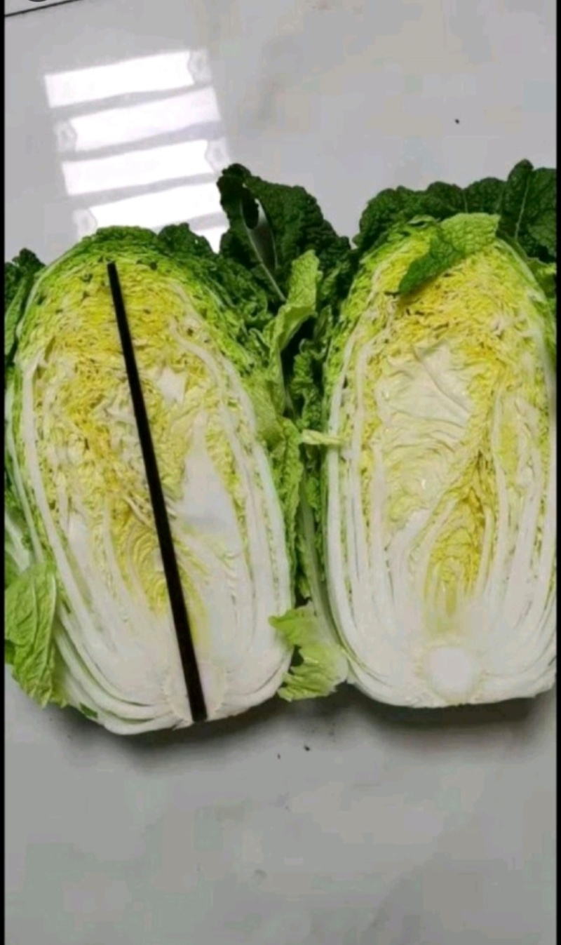 黄心白菜