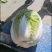 黄心白菜