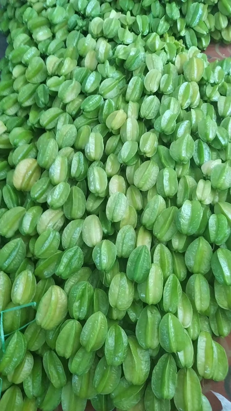 杨桃