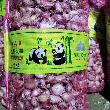 一件代发云南早熟紫皮蒜农家种植2025年新货产地直发
