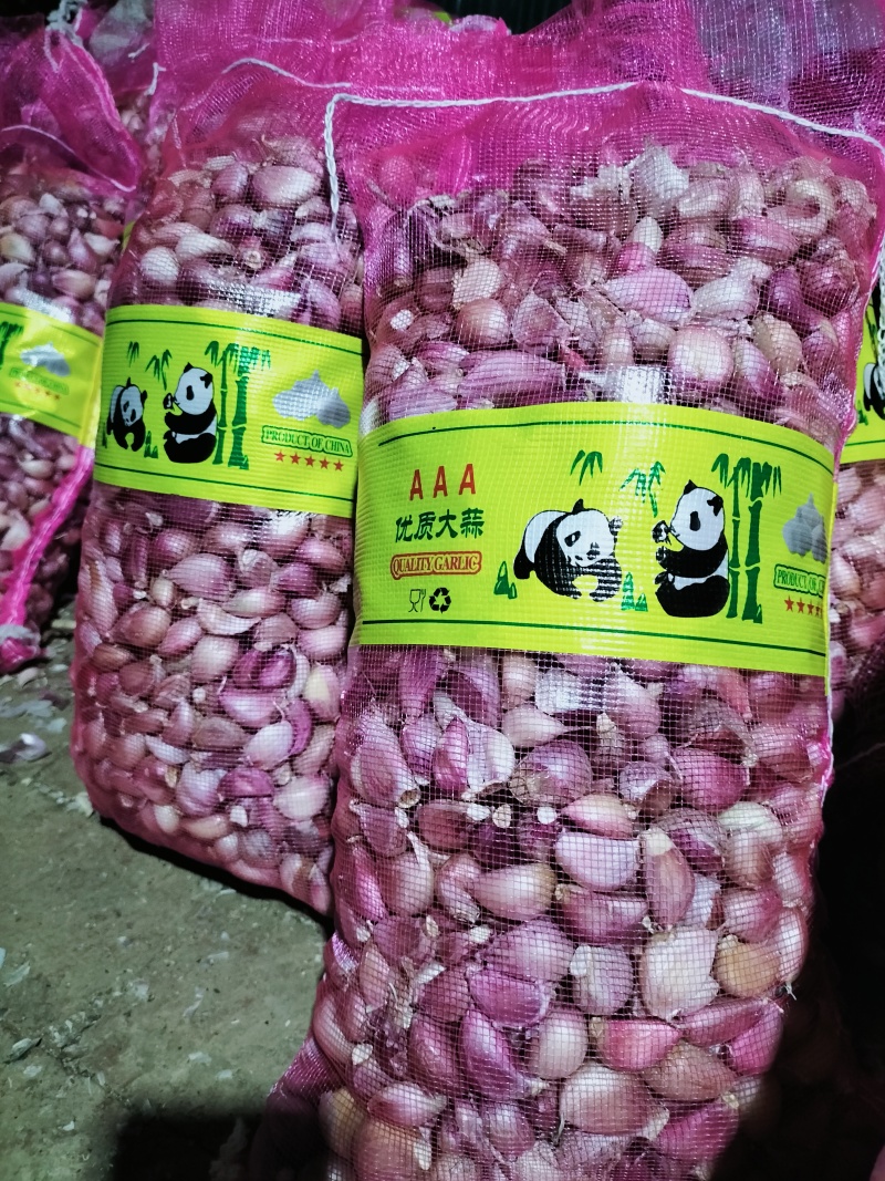 一件代发云南早熟紫皮蒜农家种植2025年新货产地直发