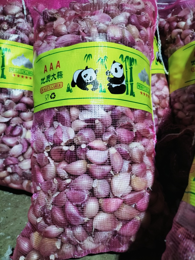 一件代发云南早熟紫皮蒜农家种植2025年新货产地直发