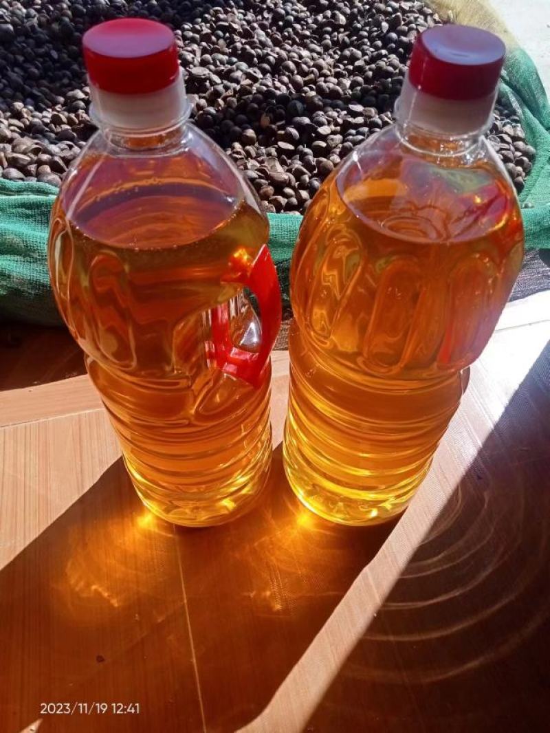 福建福州永泰山茶油，大量现货，新鲜出炉，欢迎前来采购