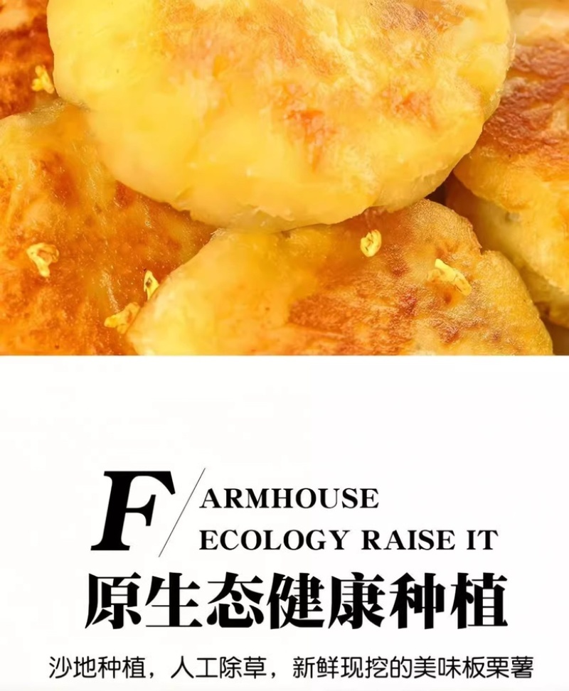 陕西板栗沙地红薯皮薄无丝粉糯干面现挖产地直发代发包邮