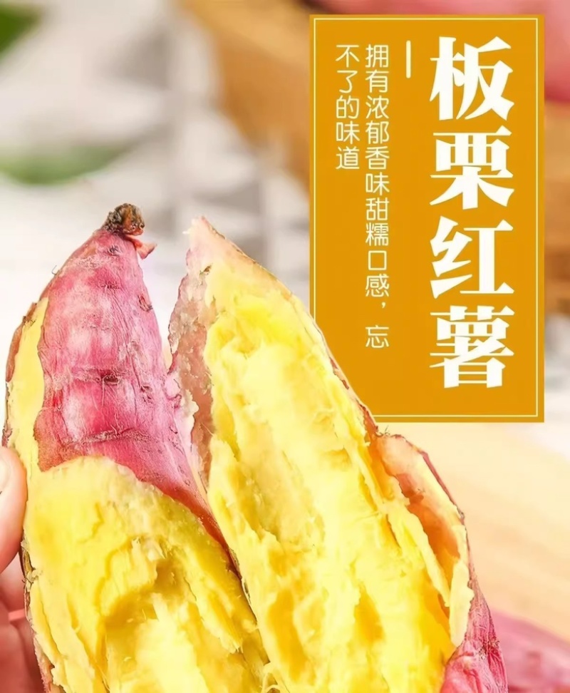 陕西板栗沙地红薯皮薄无丝粉糯干面现挖产地直发代发包邮