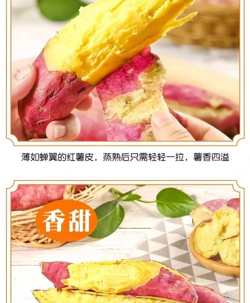 陕西板栗沙地红薯皮薄无丝粉糯干面现挖产地直发代发包邮