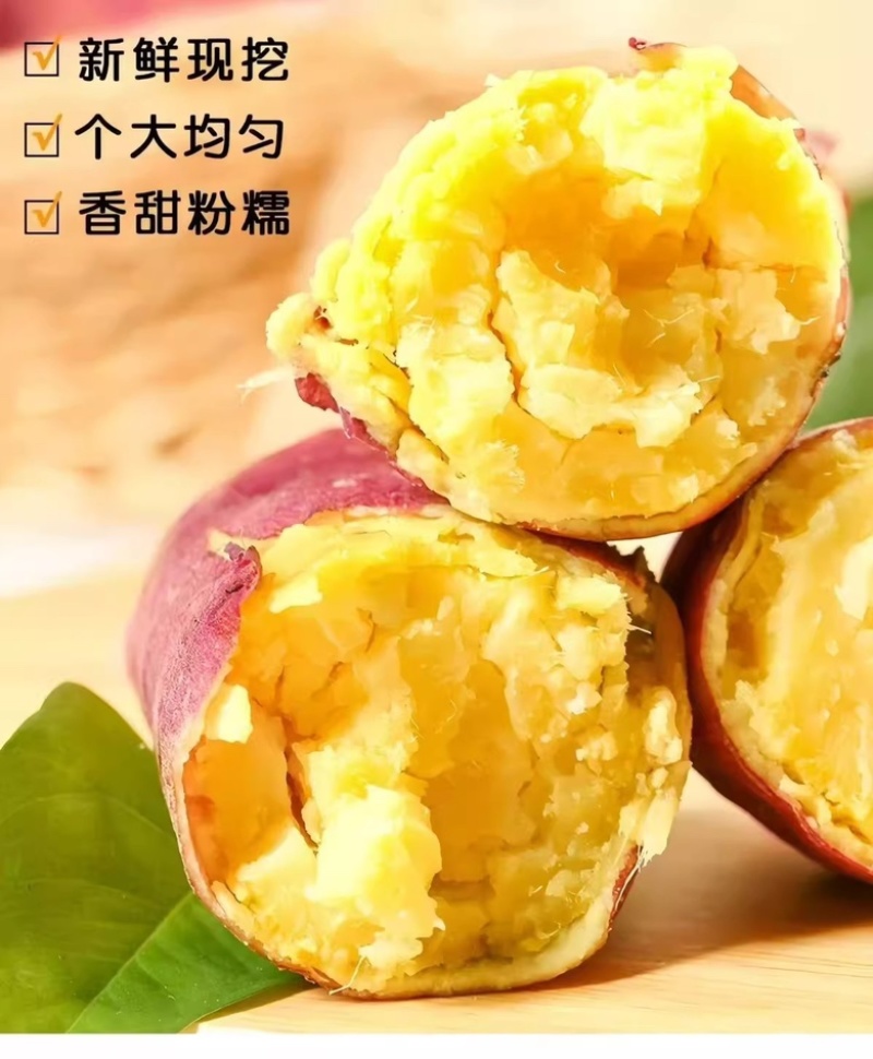 陕西板栗沙地红薯皮薄无丝粉糯干面现挖产地直发代发包邮