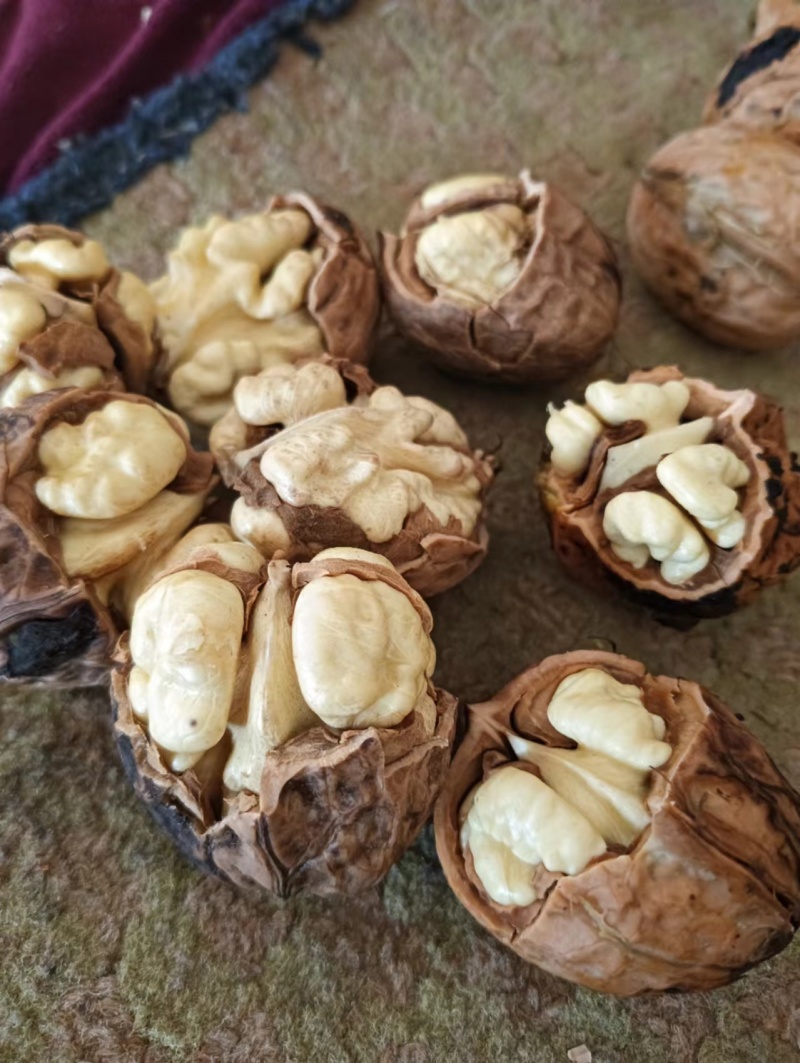 汉源县特产新鲜大核桃产地直销（青皮核桃）皮薄，新鲜采购