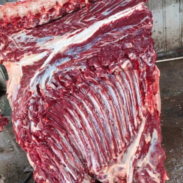 鲜驴肉