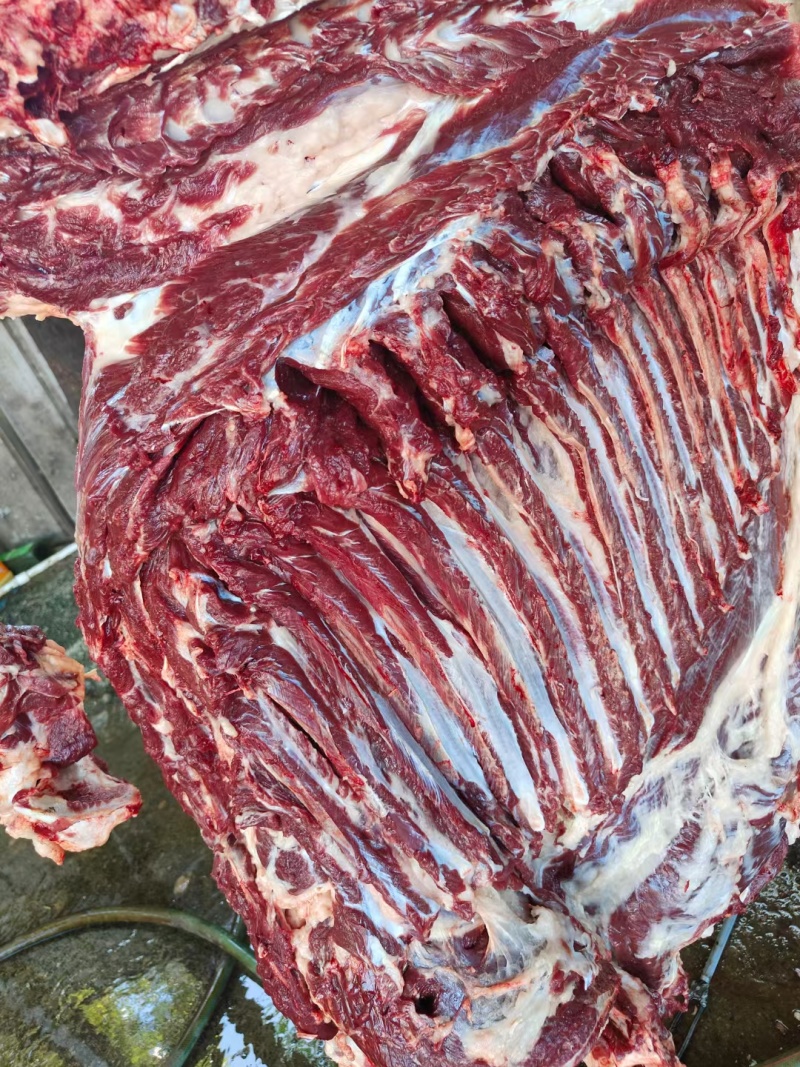 鲜驴肉