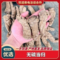 甘肃岷县无硫当归头手选当归产地直供量大从优全国发货