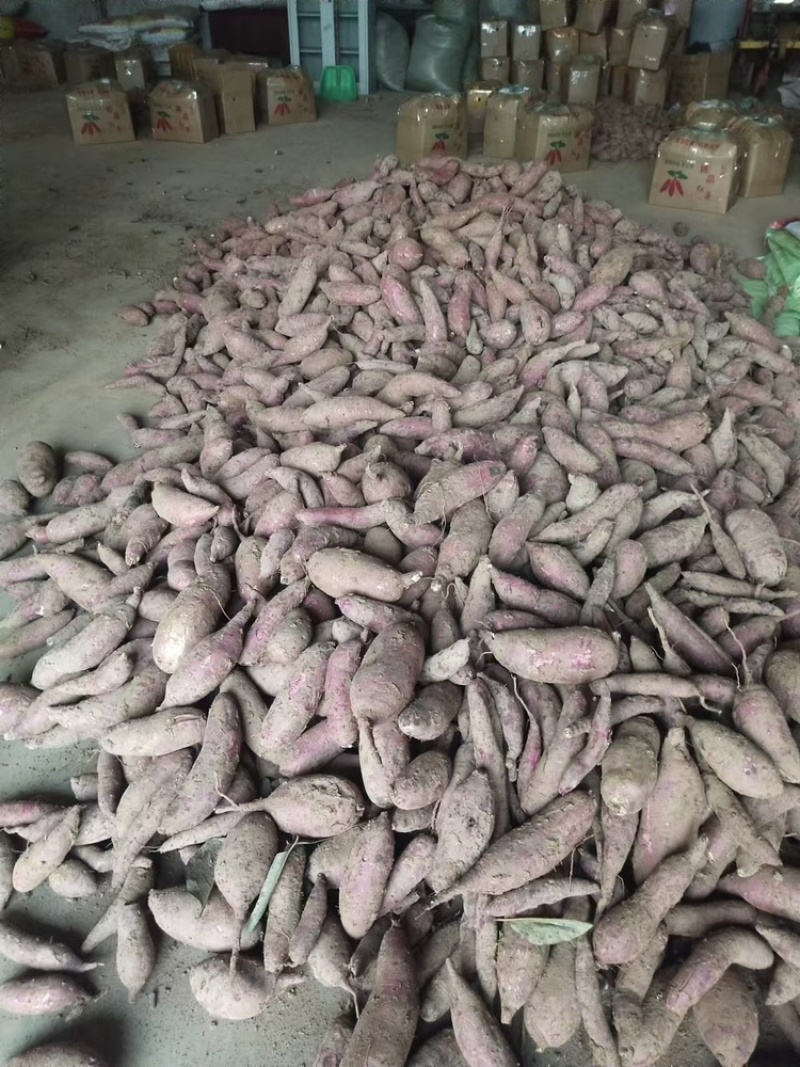 【精选】红薯大量上新了粉糯香甜口感好