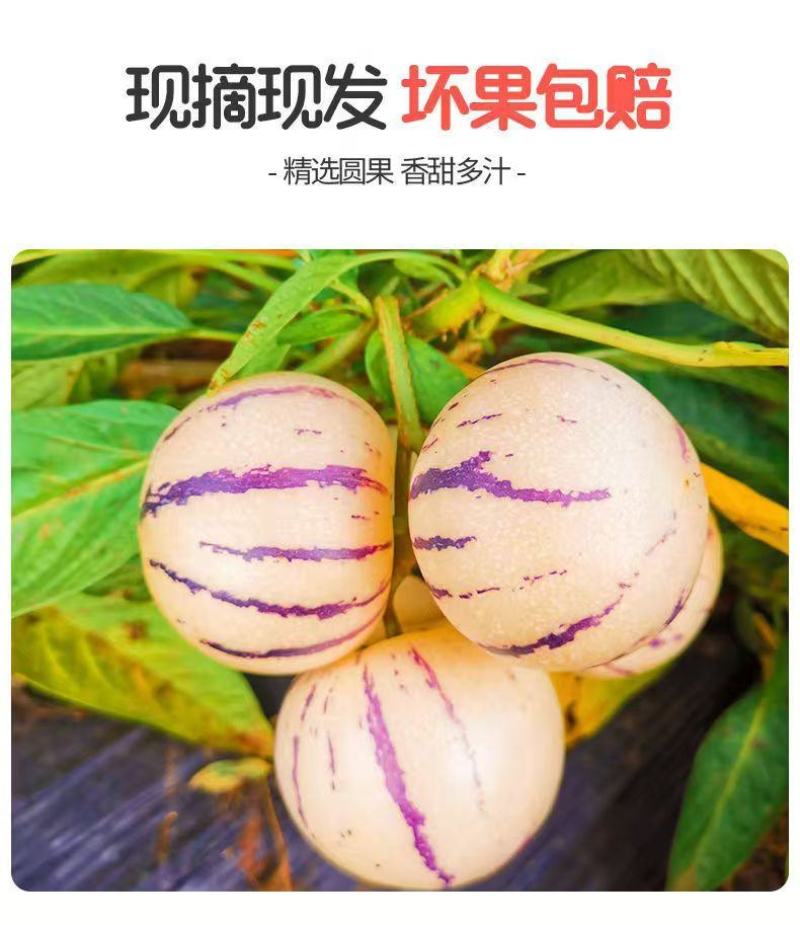 一件代发，欢迎合作