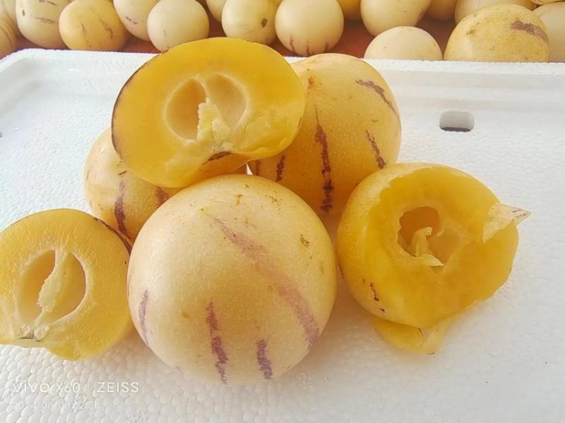 一件代发，欢迎合作