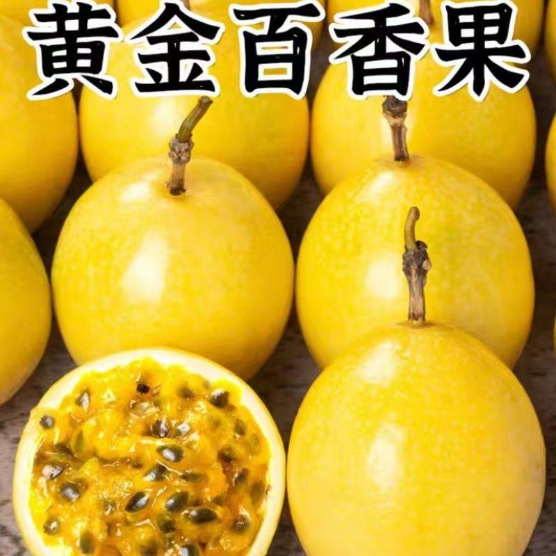 一件代发，欢迎洽谈