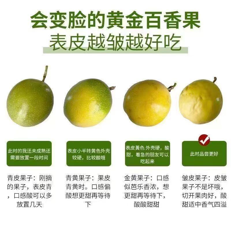一件代发，欢迎洽谈