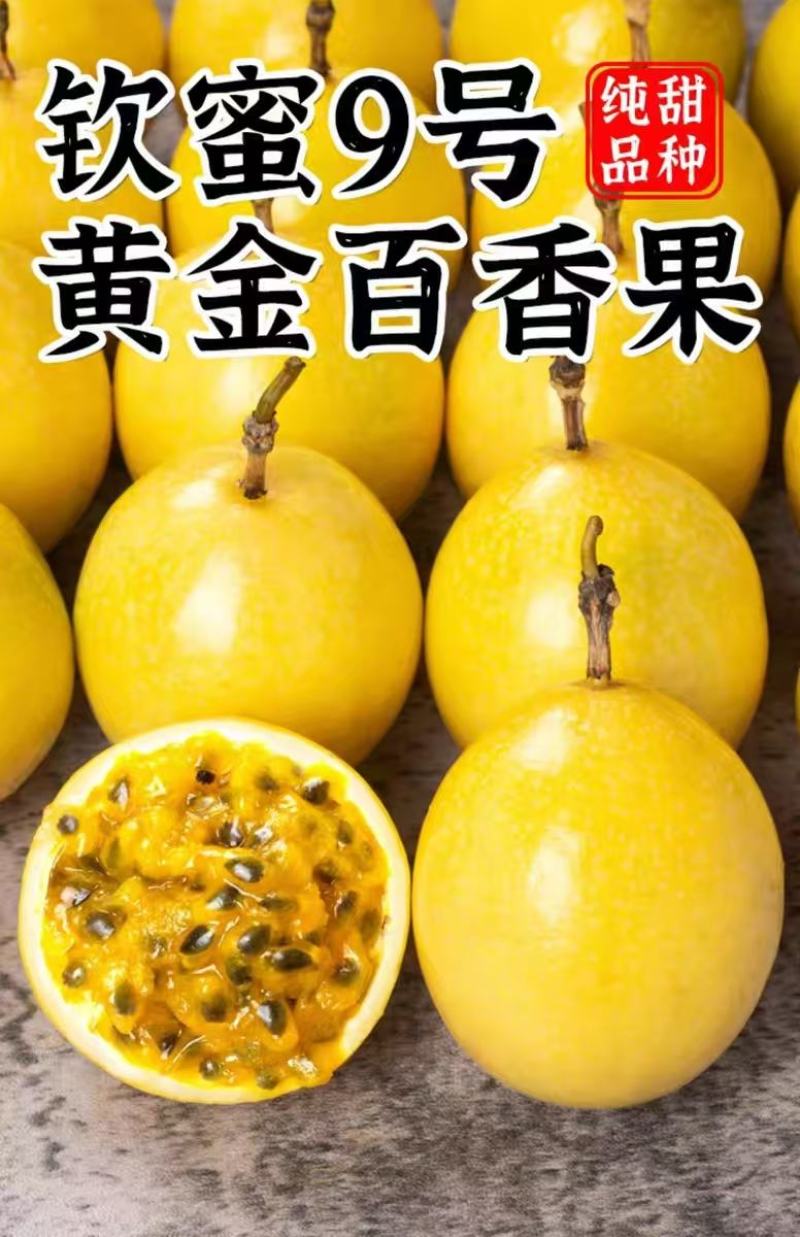 一件代发，欢迎洽谈