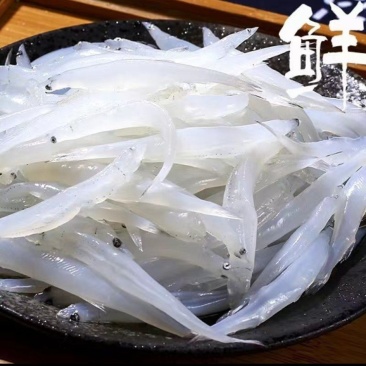 大银鱼新鲜水产冷冻面条鱼白饭鱼宝宝辅食鲜活冷冻淡水小银鱼