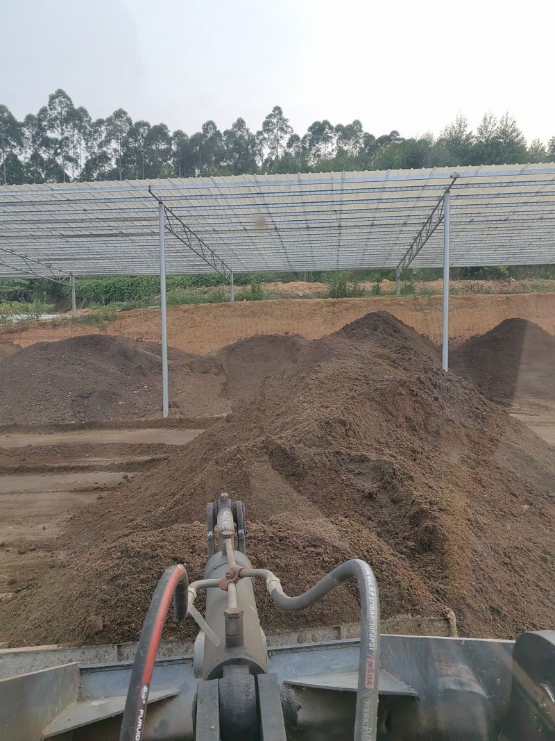 广东省清远市燕洲奶牛场，微生物菌发酵干牛粪，生物有机肥