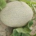 哈密瓜西州蜜瓜基地供应量大质优价格优惠支持视频看货