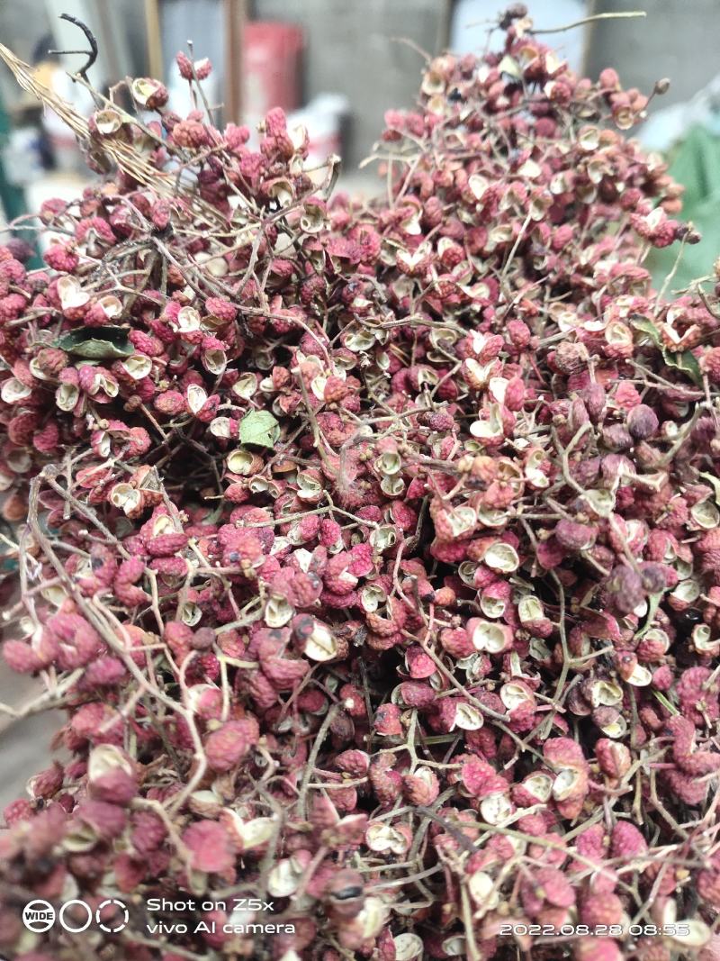 莱芜大红袍花椒