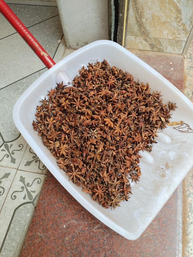 广西干八角香料春花果三月果货源充足产地值供