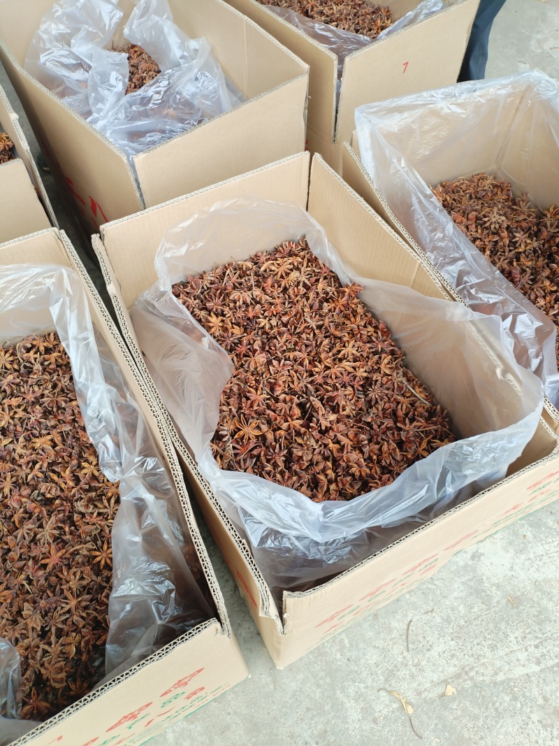 广西无硫大红八角卤料大料香料足干产地值供