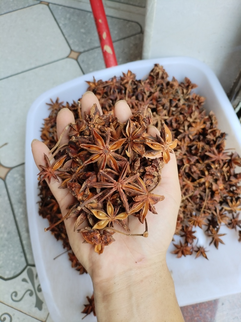广西无硫大红八角卤料大料香料足干产地值供
