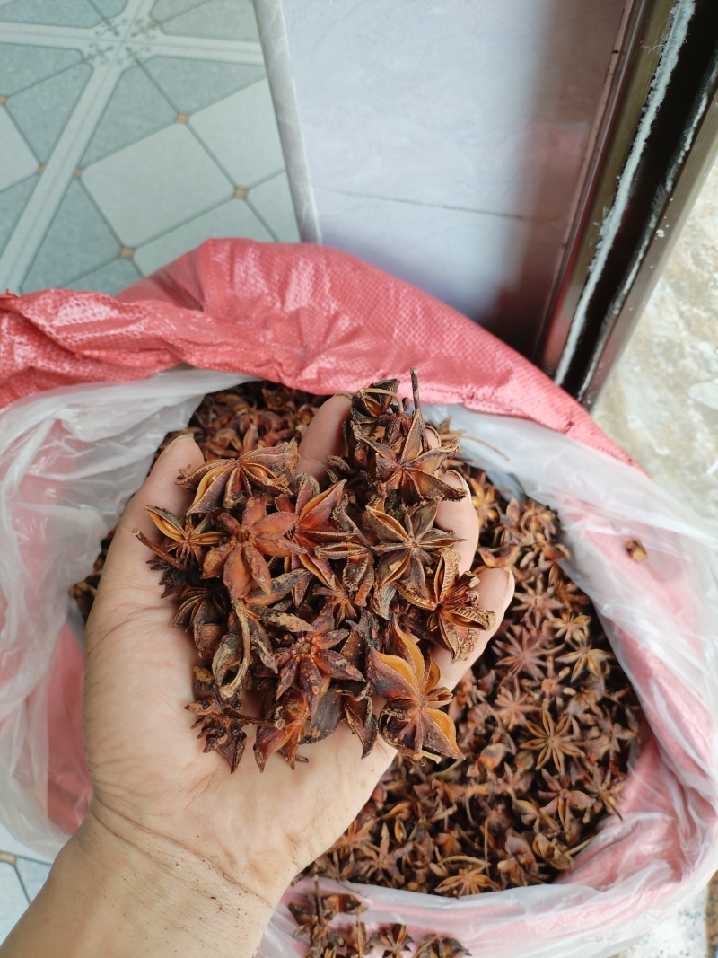 广西无硫大红八角卤料大料香料足干产地值供