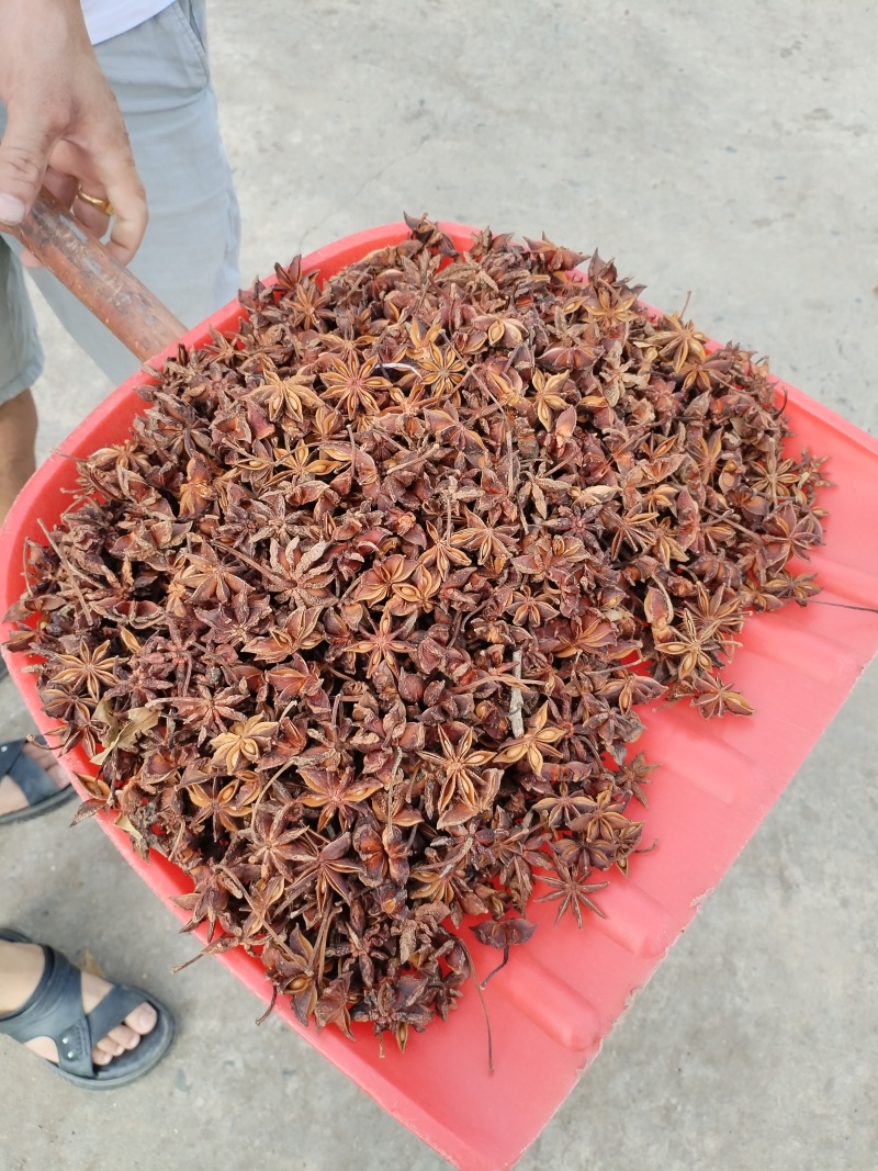 广西无硫大红八角卤料大料香料足干产地值供