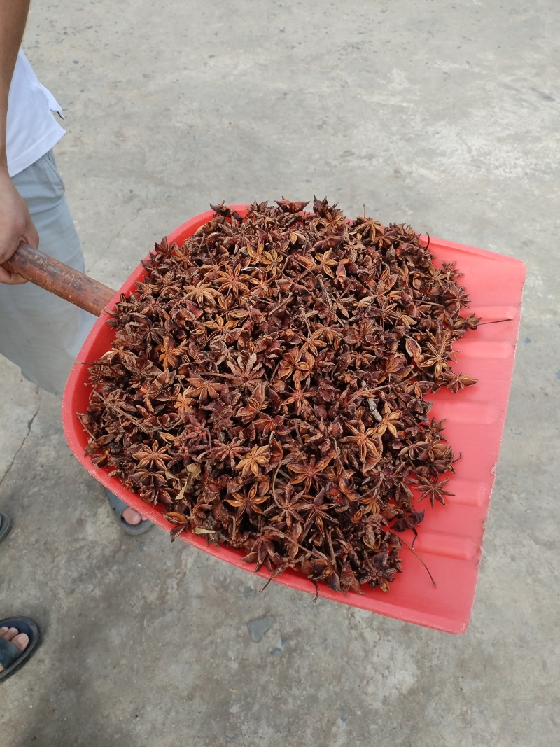 广西无硫大红八角卤料大料香料足干产地值供