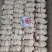 高端精修去油去草料无油羊捆肠