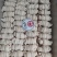 高端精修去油去草料无油羊捆肠