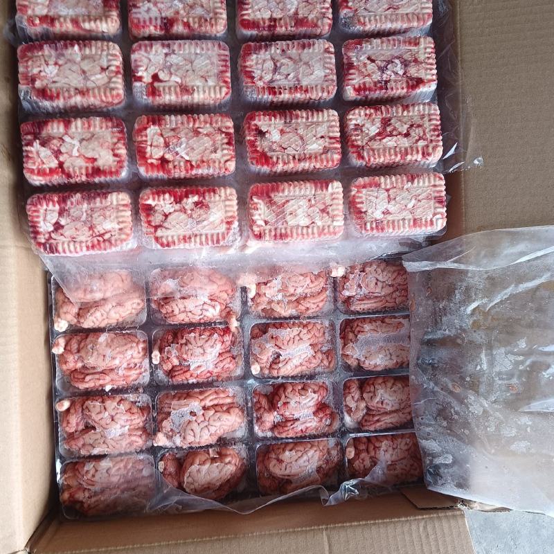 盒装脑花，新货