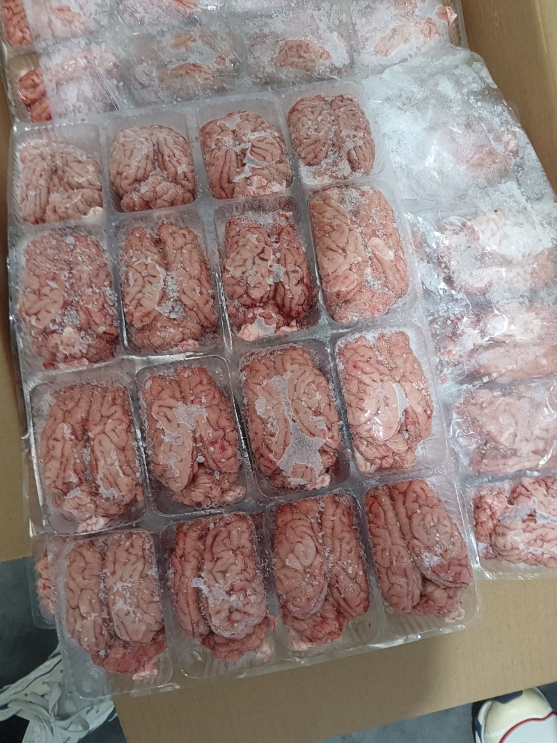 盒装脑花，新货