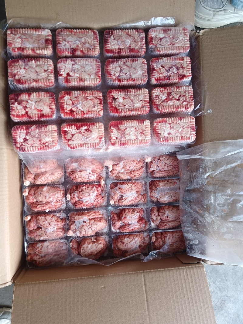 盒装脑花，新货