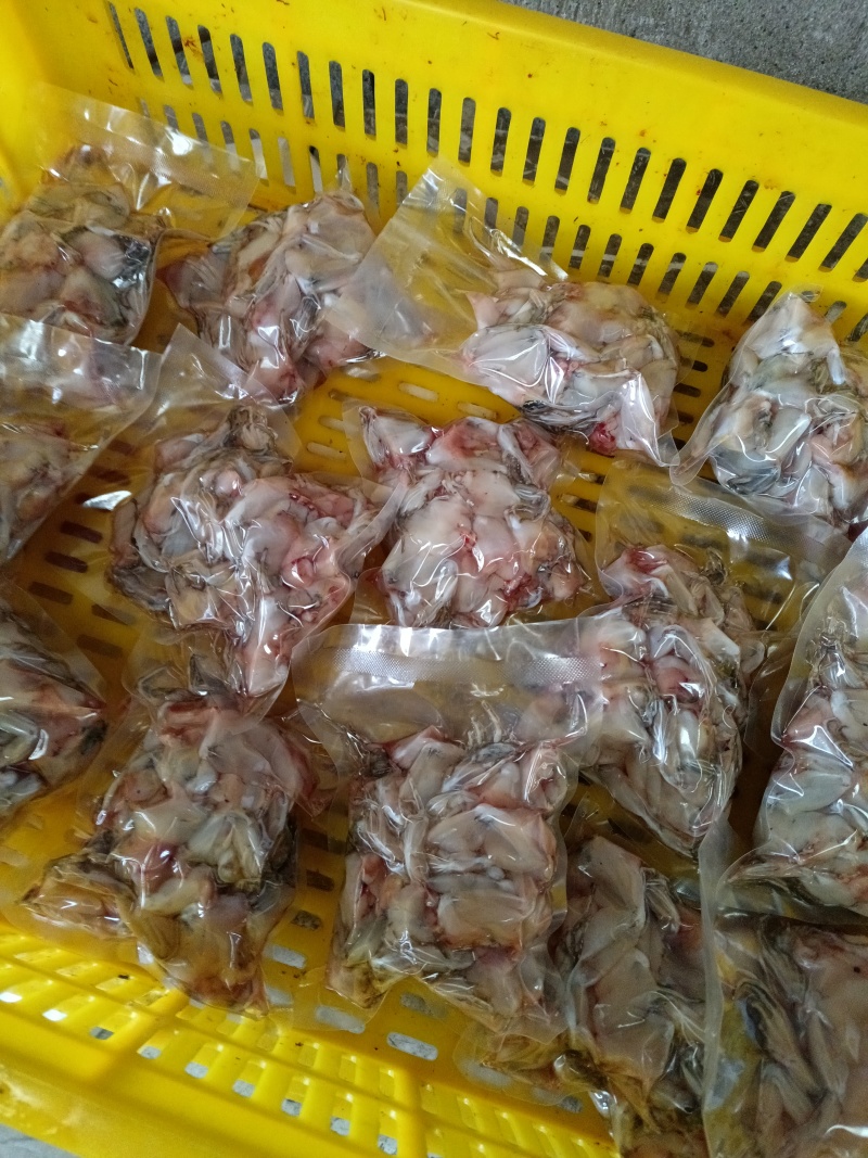 新鲜白条批发