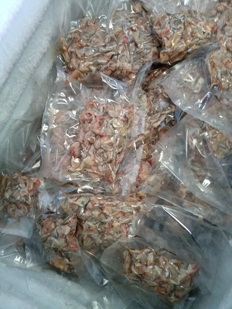 新鲜白条批发