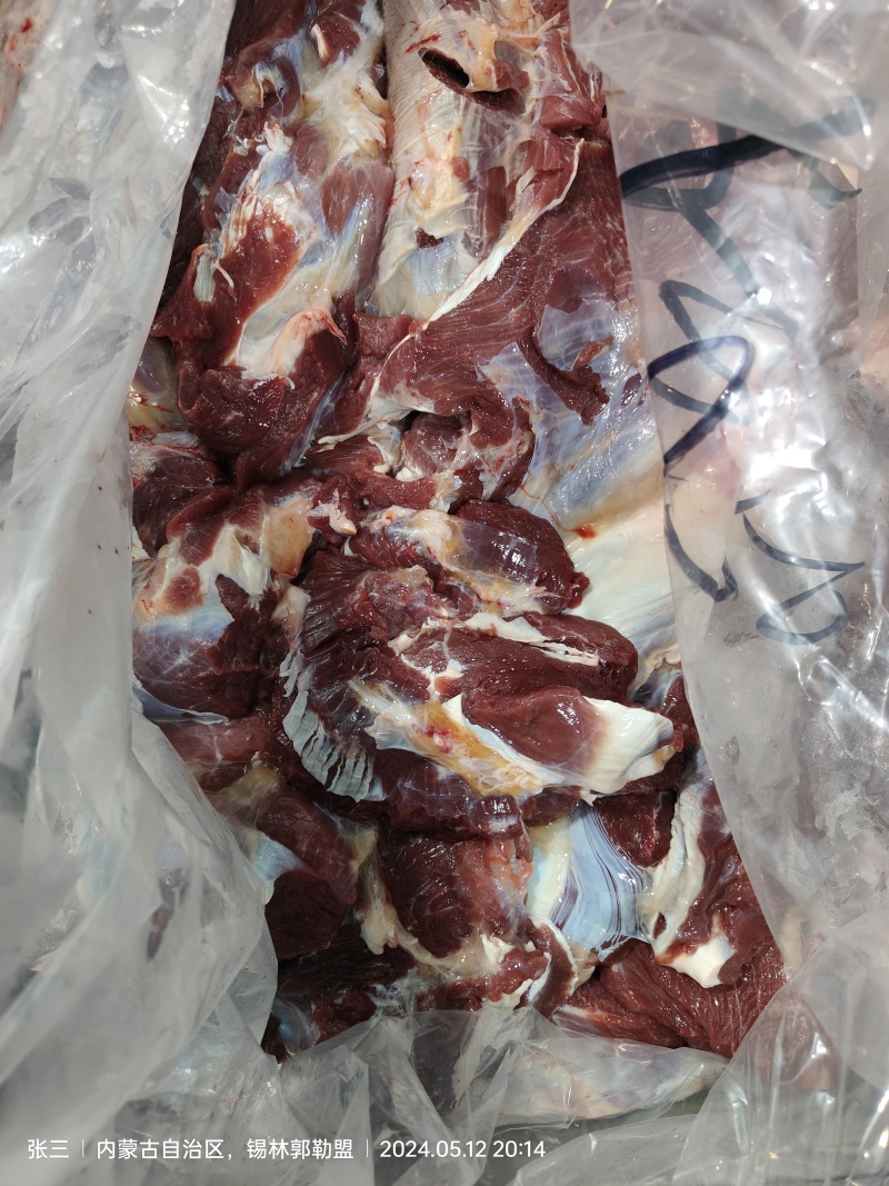 牛肉生牛肉鲜牛肉冷冻牛肉冷鲜肉牛全牛肉通货，